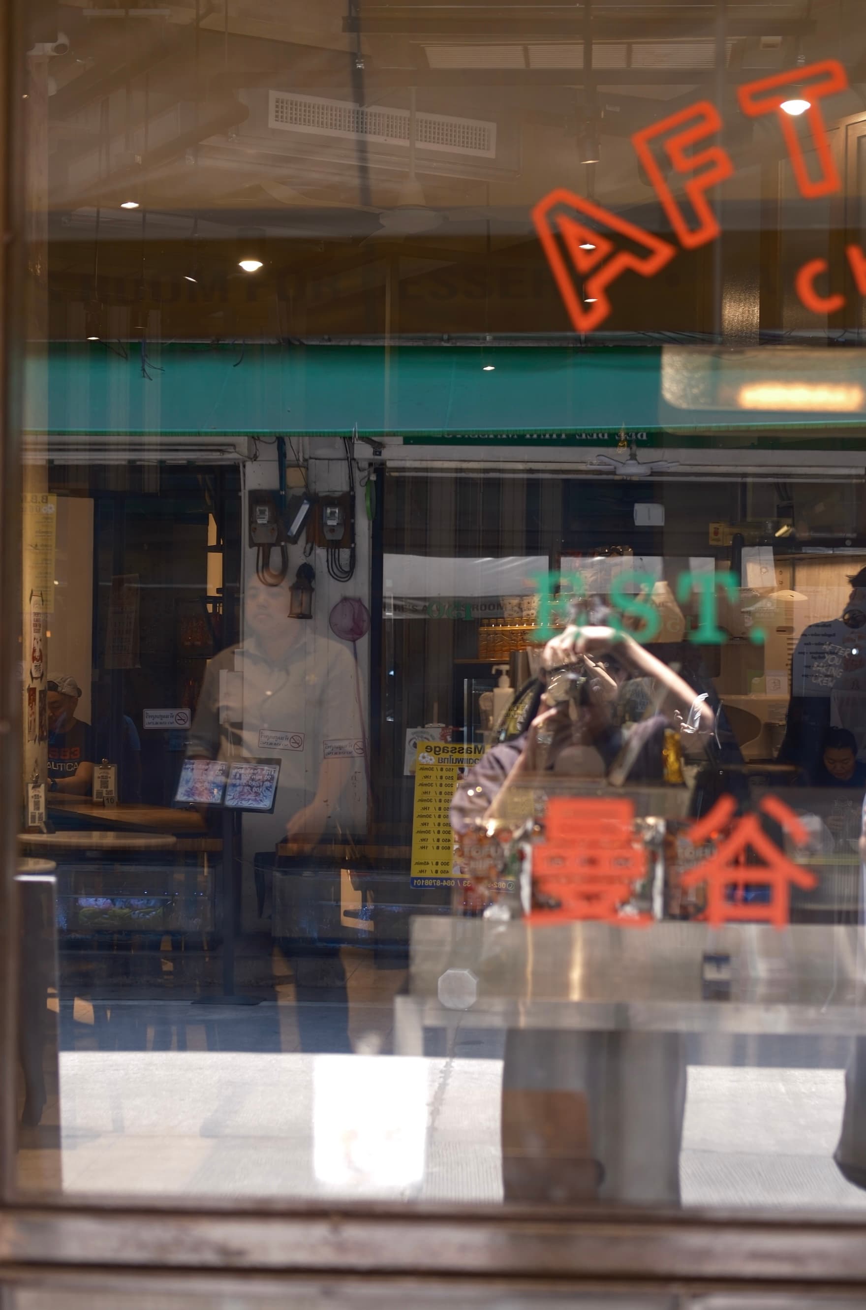 Self-portrait in a window